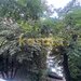 Liviu Rebreanu, apartament 2 camere etaj 3/10, bloc reabilitat, parcare ADP